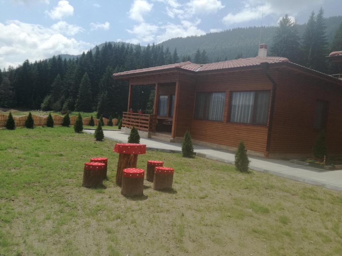 Ваканционно Селище Ива Sarnitsa Buitenkant foto